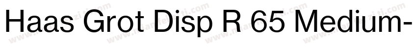 Haas Grot Disp R 65 Medium字体转换